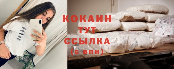 хмурый Арсеньев