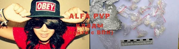 хмурый Арсеньев