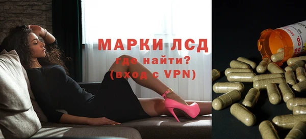 spice Аркадак