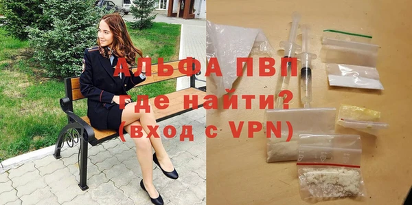 spice Аркадак