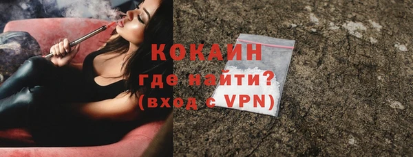 хмурый Арсеньев