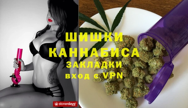 хмурый Арсеньев