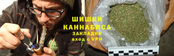 spice Аркадак