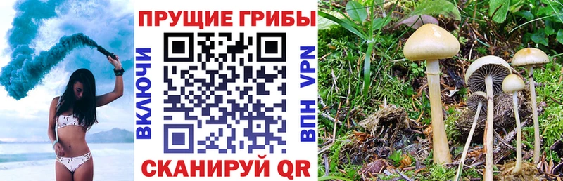 Галлюциногенные грибы Magic Shrooms  Спасск-Рязанский 